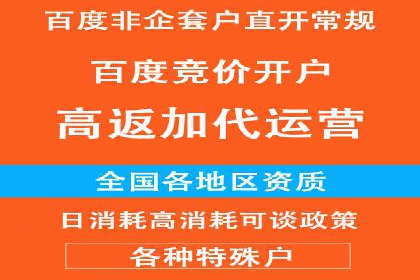 百度平台推广策略及成功案例解析